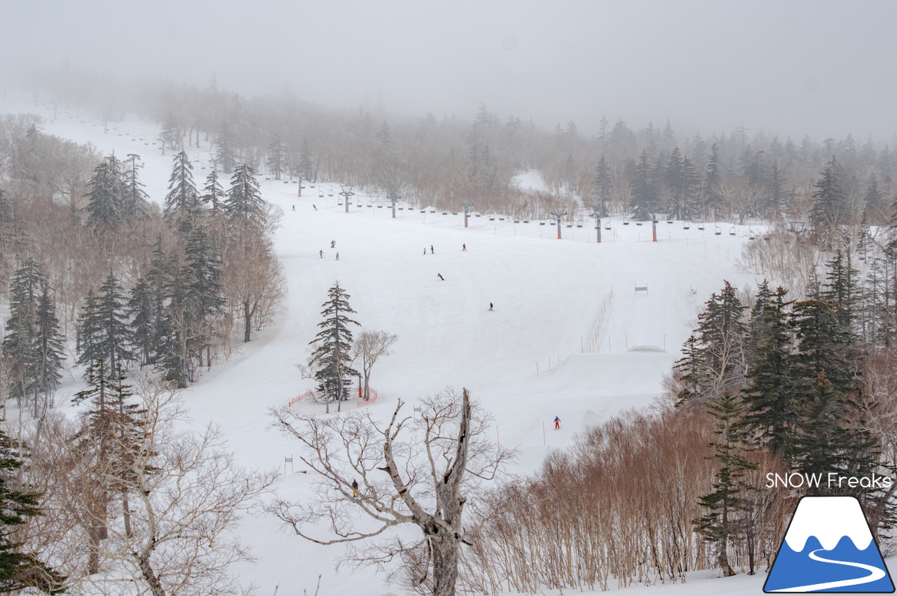 札幌国際スキー場｜山頂の積雪は、300cm！連日の春スキー＆スノーボード日和から一転、今日は冬が帰ってきました♪